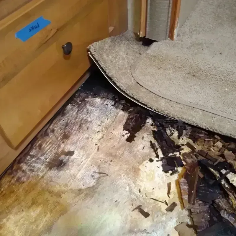 Wood Floor Water Damage in Laramie County, WY